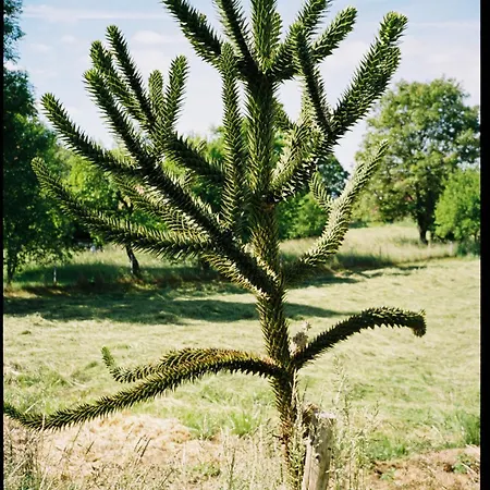 Lägenhet Savoy *